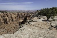 the steep cliff formation in the valley is very steep and rocky, with one tree growing from below