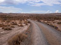 road on right side of barren and rocky desert area with trees and bushes and rocks