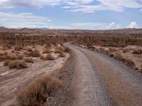 road on right side of barren and rocky desert area with trees and bushes and rocks