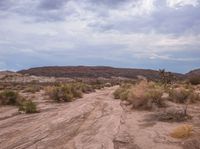 the road has many scratches on it in the dirt and mud hills behind it are grassy vegetation, trees, bushes, grass and clouds