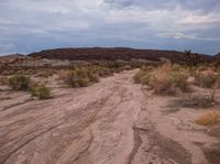 the road has many scratches on it in the dirt and mud hills behind it are grassy vegetation, trees, bushes, grass and clouds