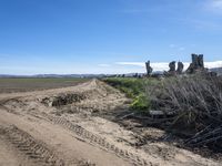 a road going through dry grass with a broken tree on one side of a dirt field