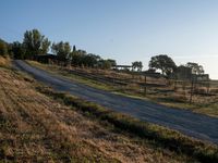 Rugged Road in Rural Tuscany: Bathed in Sunshine