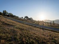 Rugged Road in Rural Tuscany: Bathed in Sunshine