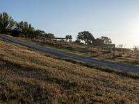 Rugged Road in Rural Tuscany: Bathed in Sunshine