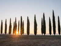 Rugged Road in Tuscany: A Clear Sky Ahead