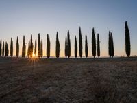 Rugged Road in Tuscany: A Clear Sky Ahead