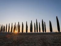 Rugged Road in Tuscany: A Clear Sky Ahead