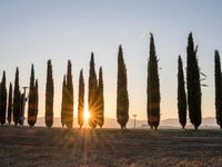 Rugged Road in Tuscany: A Clear Sky Ahead