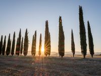 Rugged Road in Tuscany: A Clear Sky Ahead