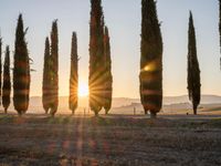 Rugged Road in Tuscany: A Clear Sky Ahead