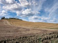 Rugged Road in Tuscany, Italy