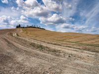 Rugged Road in Tuscany, Italy 003