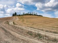 Rugged Road in Tuscany, Italy