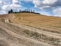 Rugged Road in Tuscany, Italy-005