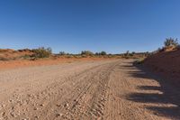 Rugged Road Through the Wilderness Landscape