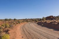 Rugged Road Through the Wilderness Landscape