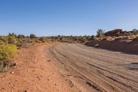 Rugged Road Through the Wilderness Landscape