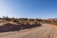 Rugged Road Through the Wilderness Landscape