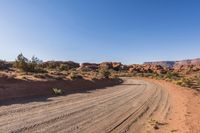 Rugged Road Through the Wilderness Landscape