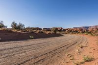 Rugged Road Through the Wilderness Landscape