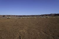 the barren area is dotted with scruby weeds and plants in the foreground, with a large canyon visible above