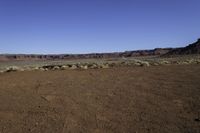 the barren area is dotted with scruby weeds and plants in the foreground, with a large canyon visible above