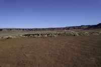 the barren area is dotted with scruby weeds and plants in the foreground, with a large canyon visible above