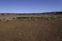 the barren area is dotted with scruby weeds and plants in the foreground, with a large canyon visible above