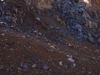 a goat in a rocky, rocky area of the woods to its right and one goat at its feet