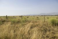 a large field full of hay and grass near a fence and mountains in the distance
