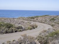 Rugged Shoreline Landscape at Montaña de Oro Beach