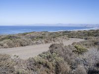 Rugged Shoreline Landscape at Montaña de Oro Beach