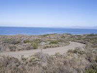 Rugged Shoreline Landscape at Montaña de Oro Beach