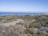 Rugged Shoreline Landscape at Montaña de Oro Beach