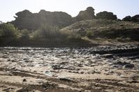 the dirt is clumpping along the edge of a stream of water while in front of rocks