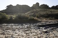 the dirt is clumpping along the edge of a stream of water while in front of rocks