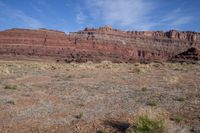 a horse grazes in the open land between two cliffs of a desert area,