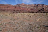 a horse grazes in the open land between two cliffs of a desert area,