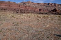 a horse grazes in the open land between two cliffs of a desert area,