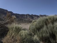 Rugged Terrain in Spain: A Mountain Landscape