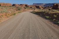 dirt road with mountains and vegetation and a blue sky in the background with a clear sky