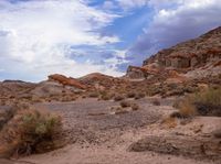 an outcropping with rocks and plants on the desert, under a cloudy sky