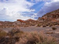 an outcropping with rocks and plants on the desert, under a cloudy sky