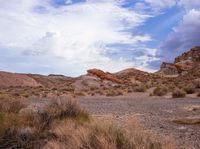 an outcropping with rocks and plants on the desert, under a cloudy sky