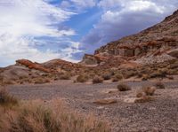 an outcropping with rocks and plants on the desert, under a cloudy sky