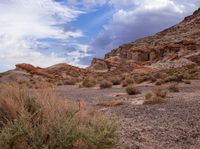 an outcropping with rocks and plants on the desert, under a cloudy sky