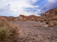 an outcropping with rocks and plants on the desert, under a cloudy sky