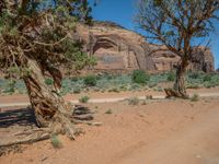 Rugged USA Nature: Off-Road Adventure in Arizona & Utah