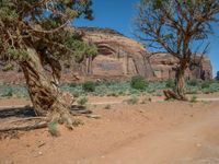 Rugged USA Nature: Off-Road Adventure in Arizona & Utah